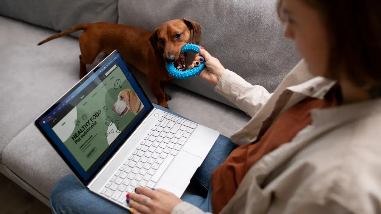 How Digital Pet Care Is Rewriting the Rules Your Parents Followed at the Animal Clinic