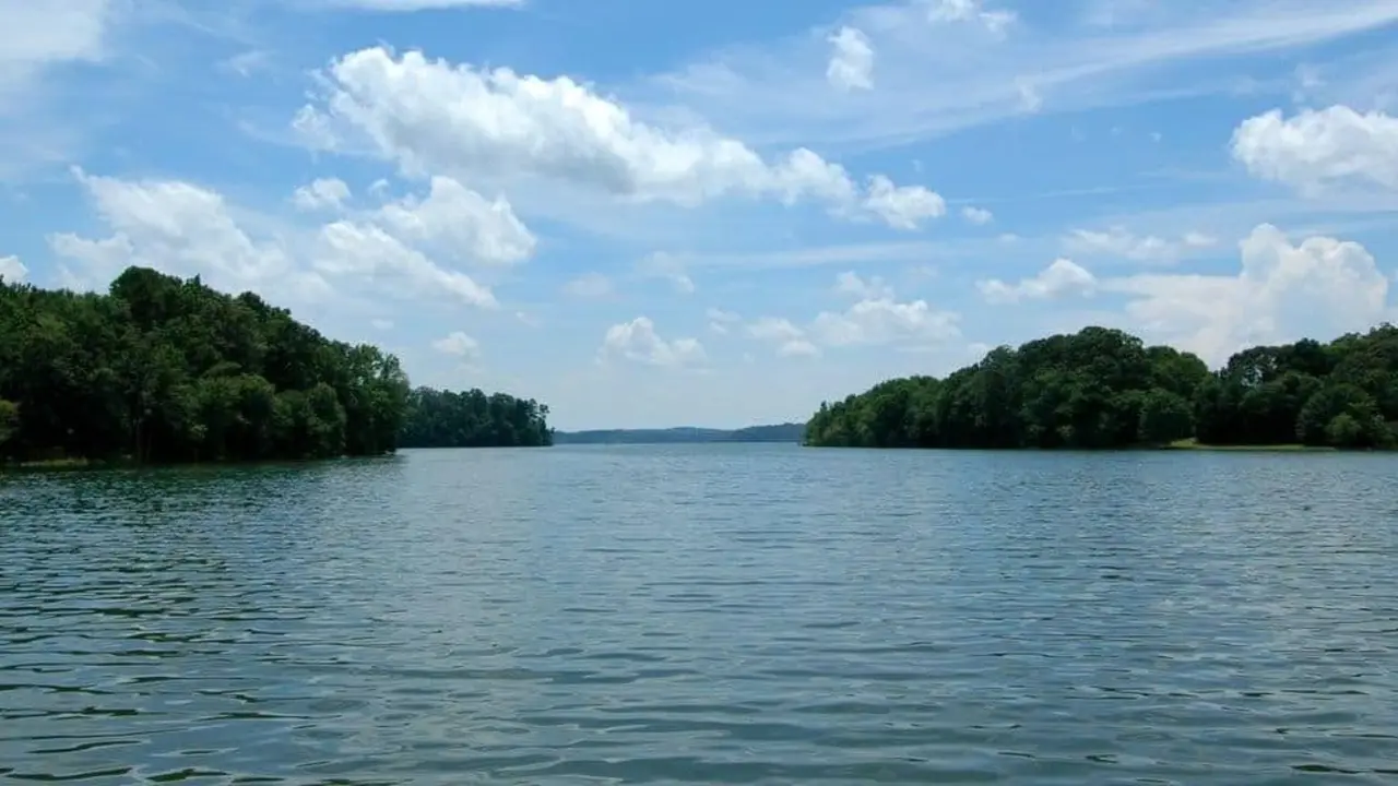 The ‘Inland Ocean’ Effect: Why Do Hartwell Bass Hunt Like Tuna?