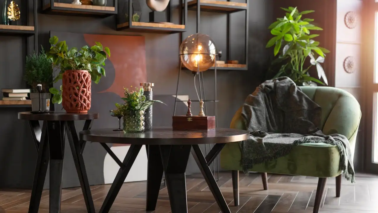 Home Decor and Furniture TreeLeftBigShop, Stylish Ideas for Every Home