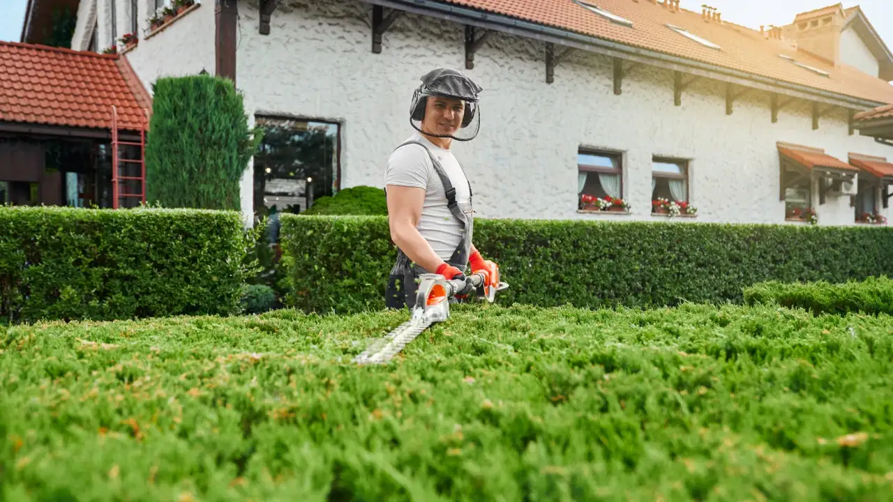 Grow Greener All Year: Modern Lawn Care Strategies That Save Water, Time, and Money